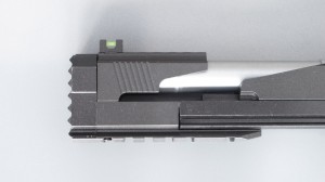Dragon 31b.jpg